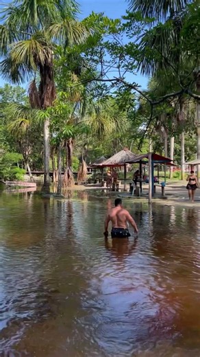 Beautiful place in the Amazon