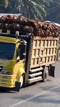 very unique and large trailer truck load.