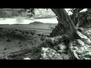 PBS Show December 28, 2014-January 3, 2015, #2311