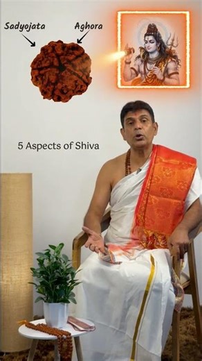 What is the significance of Panchmukhi Rudraksha? Learn from Pandit Ji | Digveda App