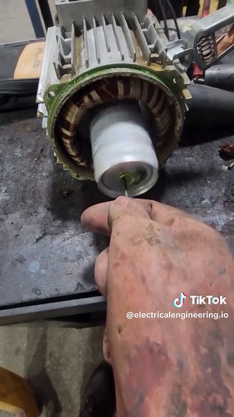 Exploring the World of Electrical Engineering: A Student's Perspective