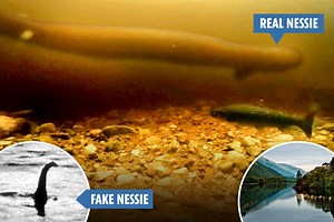 Boffins believe they've finally got video proof that Nessie exists...and is actually a giant eel