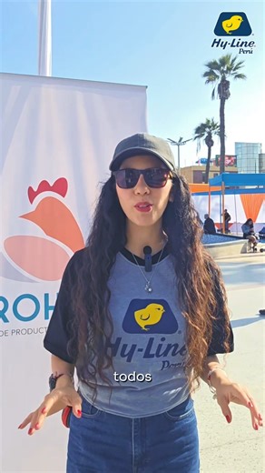 Esta gallina es la favorita de todos los productores | Hy-Line Perú