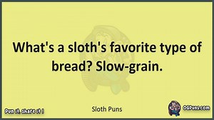 Sloth - Jokes, Puns, Wordplays, and Laughter