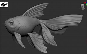 【zbrush动物建模基础教程】金鱼雕刻（zbrush入门操作）从球开始教你，超详细的动物建模教程 小白也能轻松学会