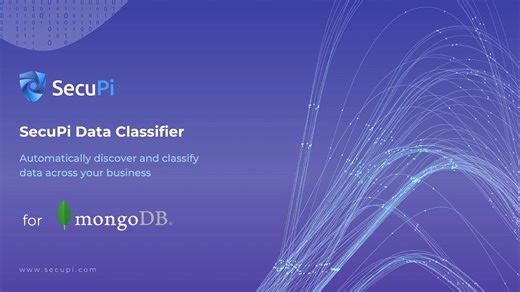 SecuPi MongoDB Classification
