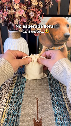 Personaliza tu propia esfera con tu foto favorita en mi perfil #mascotas #recuerdos #decoracion #lamps #personalizados | Esferas Personalizadas