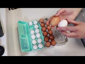 Egg Shell Powder