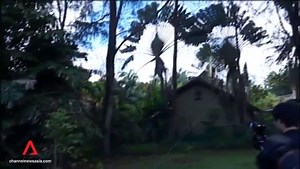 Three hornbills released into the wild at Pulau Ubin