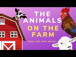 Farm Animals & What Are They Doing
