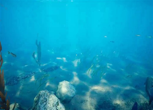 8.4K views · 97 reactions | Subside, an immersive underwater exploration VR game, might soon feature a non-VR mode, as its developer Khena B has been experimenting with such a gameplay option. Check out more fascinating aquatic scenes and get Subside on Steam: https://80.lv/articles/underwater-exploration-game-subside-might-feature-a-non-vr-mode-soon | 80 Level | Facebook