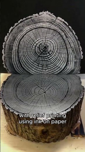 Capturing Nature: Stunning Tree Ring Art Prints You Won't Believe!