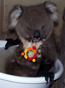 First look: Ubuntu 9.10 alpha 2 brings Ext4, GRUB 2