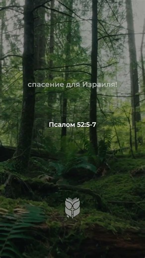 Я благодарю за надежду во Христе, даже когда мир не понимает #библия #biblevision
