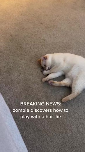 go tell your friends and family zombie has some knowledge in his brain