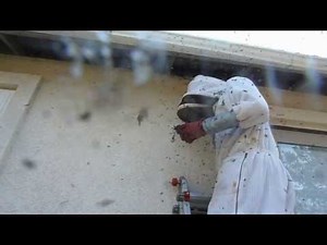 Man attacked by killer bees REAL VIDEO
