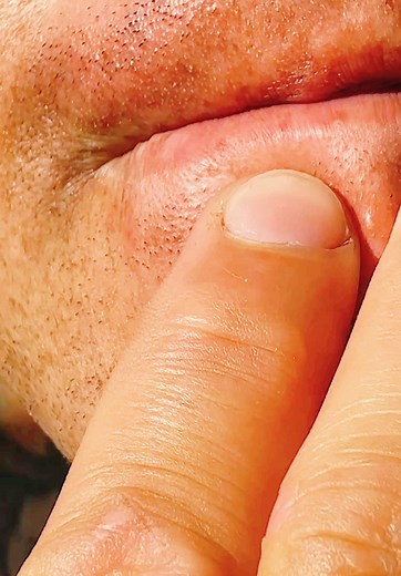 TikTok Cows: A Fun Change from Facebook and Instagram