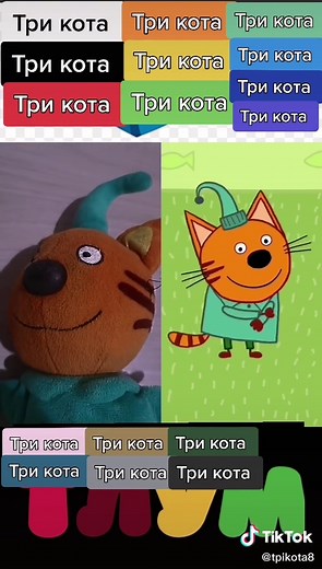#дуэт с @tri_kota_official