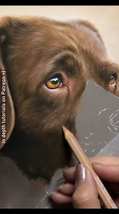 104K views · 4.8K reactions | Working larger enables more room for finer details. Finer details are built up gradually through building layers. There are some layers shown here that look so subtle it may make us think 'is it worth it?'. But these layers can make a huge difference. Staffa had so many beautiful warm colours in her fur so I was keen to capture as many of them as I could. - - - 14" x 26" pastel portrait Reference photos my own | Zara's Pet Portraits & Wildlife Art | Facebook