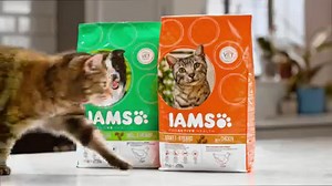 Introducing New IAMS For Vitality with great taste and brand new pack! Full of character. Full of IAMS. Learn more: http://www.iams.co.uk/forvitality | IAMS UK