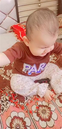 Random Collection on TikTok