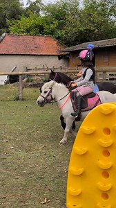 110K views · 2.1K reactions | Oh gosh, I don't think I've room for any more grey hairs 藍 I love how it goes slightly wrong when the ponies have a little tiff, but the kids just carry on their conversation and then set off again, this is where the true riding is happening, they aren't thinking about it as it all just becomes so natural.. | The Pony Pals Family Storybooks | Facebook