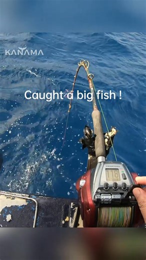 Live Bait Anti-Tangling Swivel 🎣 The Ultimate Sea Fishing Tool Revolutionizes your fishing experience with: • High-speed rotation design that prevents tangling even in turbulent currents and during fast rig sinking • Smooth bait-line control for consistent performance ⚙️ Enhanced Precision and Speed • Dual-bearing system with Pelin tech for ultra-smooth motion • High-speed design reduces friction and improves efficiency 🛡️ Premium 316 Stainless Steel • High tensile strength – built to fight bi