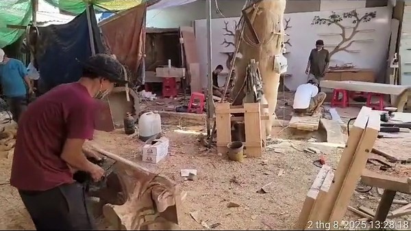 Modern Organic Tree Branch Wall Sculpture Minimalist Wooden Branch Wall Art for Living Room Sofa Wall Nature Inspired Interior Decor - Etsy