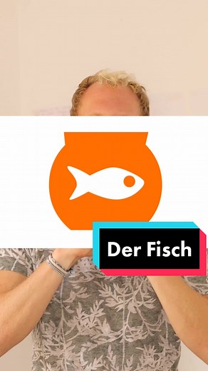 Goldfisch Illusion: Täusche deine Augen!