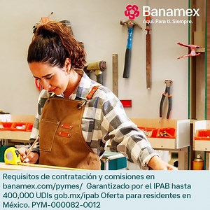 Tu negocio, nuestra prioridad | Banamex