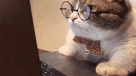 HOW TO USE THE RUMBLE VIDEO PLATFORM EFFECTIVELY