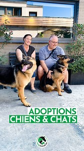 Chez Help Animals à Anderlecht, plusieurs de nos chiens et chats ont enfin trouvé un foyer aimant. Et ces magnifiques adoptions, nous les célébrons ! 🥰 Mais rappelons qu’avant d’arriver dans vos bras, ces animaux portent souvent des cicatrices invisibles. Abandons, maltraitances, négligences… autant de traumatismes qu’il faut des semaines, parfois des années, à apaiser. Adopter, ce n’est pas remplir un vide sur un coup de tête. ☝🏼 C’est prendre le temps d’observer, de comprendre le comportemen