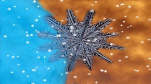 Snowflake, Snow, Ice. Free Stock Video