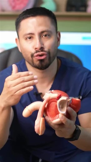 عدد ۵۳ رو بفرست تا راهنماییت کنم و👇🏼👇🏼 989339088862 #foryoutiktok #foryou #foryoupage #for #fyp #explore #fypage #fypシ゚viral #foryoupageofficiall #afghanistan #1millionaudition