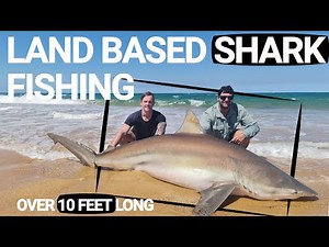 INSANE Land Based SHARK Fishing TRIP - 9 & 10 ft Long MASSIVE FISH With DRONE Footage