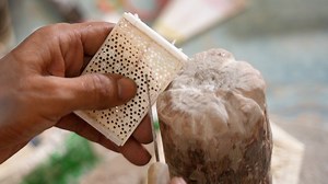 8.5M views · 111K reactions | Bone carving is an ancient art form popularized by royals in India around the 16th century. More recently, a shrinking market and scarcity of materials have pushed many carvers away from the craft. | Business Insider Today | Facebook