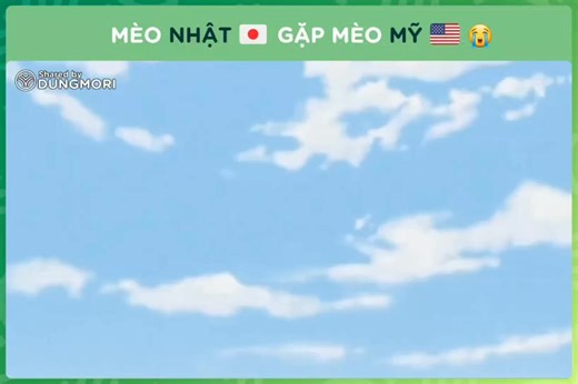 Mèo thì cũng phải học ngoại ngữ, nhập gia tùy tục 🐧 ___ Via: Ghibli Community | Dũng Mori