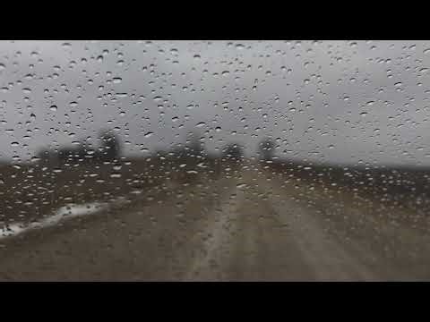 Kiribaku Babe Live Stream