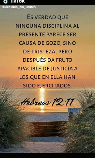 Hebreos 12 11 Por supuesto que ninguna disciplina parece agradable al momento de recibirla; más bien duele. Sin embargo, si aprendemos la lección, los que hemos sido disciplinados tendremos justicia y paz.