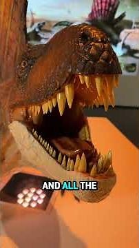 Let's look at this fossil and also learn a bit about Dimetrodon