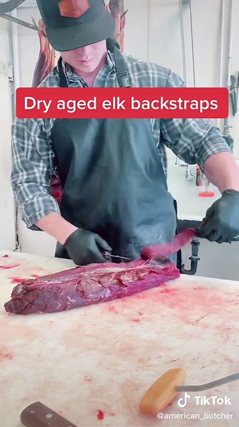 Dry-Aged Elk Backstrap: Home Butchering Tips