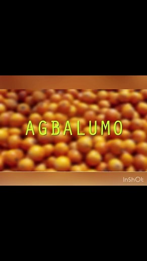 486K views · 10K reactions | Africa Star Apple (Cherry)(Agbalumo) | Arojinle Yoruba | Facebook