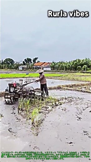 効率的に水田の泥を耕起する方法：驚きの耕運機操作 #worker #process #farming #agriculture #powertiller