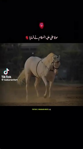 Akhter Khan (@akhter.khan4638)’s videos with original sound - Akhter Khan