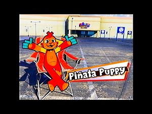 Meet the Voice Actors! [VHS] - Piñata Puppy World