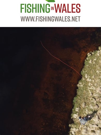 Teifi Pools Wales #troutfishing #fishing