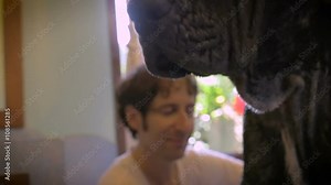 Handheld Close up of a Great Dane and his owner while the dog is getting bathed Stock Video