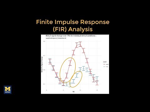 Introduction to Finite Impulse Response (FIR) Analysis