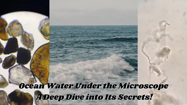 Ocean Water Under the Microscope: A Deep Dive into Its Secrets!