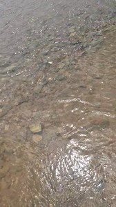 The water is finally receding and It's about damn time 😆 | Low Water History